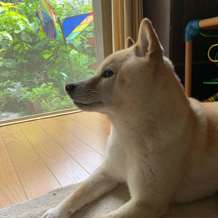 A2497b9d acaf 4146 b162 5fcb47bdc8d0 1654231230664