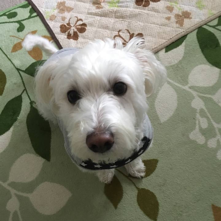 A2497ca4 5be5 4d8b 86f5 367e42164c2a 1547922041044