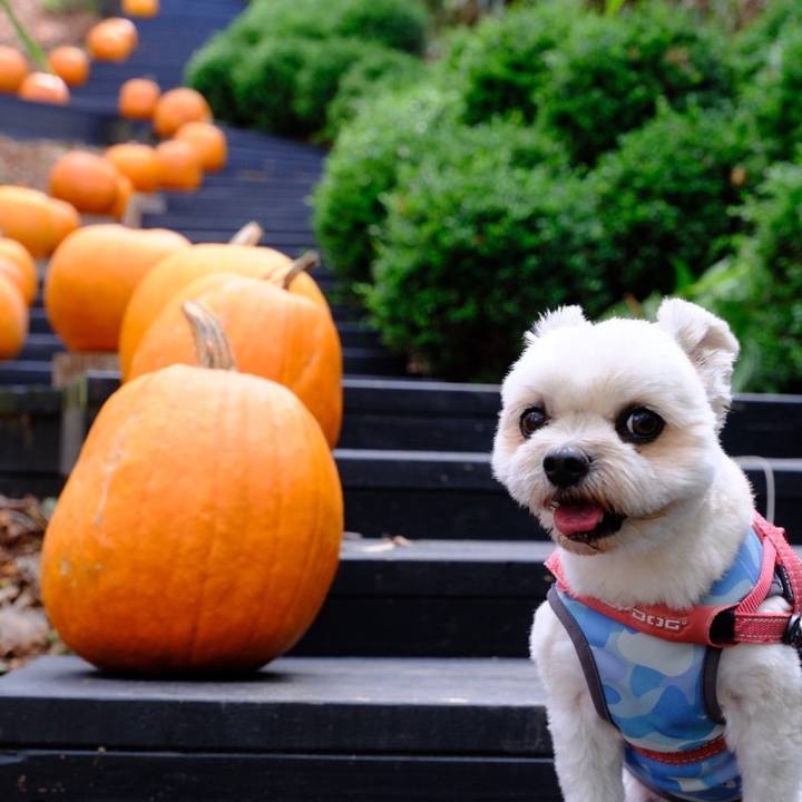 A2498104 c73b 4ab6 bab7 1b890ccb7a4a 1727169781676