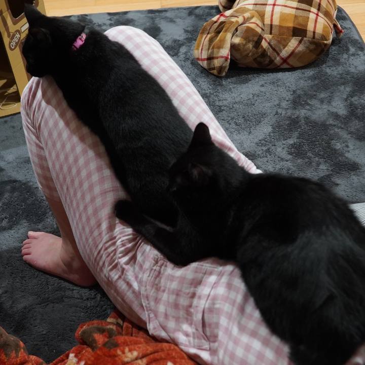 A24991f6 662a 408d 99ba 96bf830d91aa 1604807478373