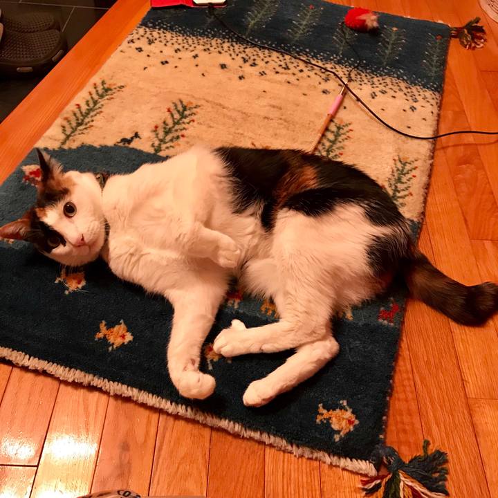 A2499820 6a32 43bd ba23 d3e46a7a5dd6 1558872751344