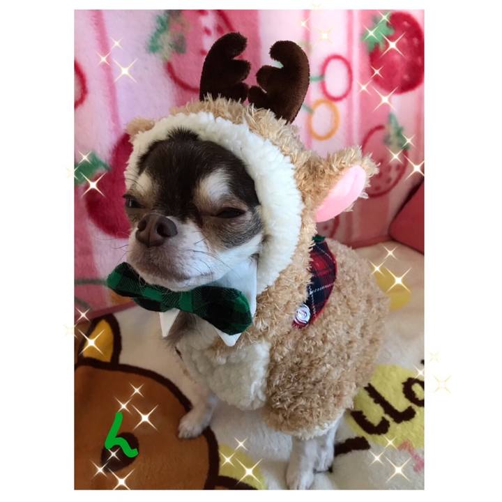 A249cf83 3d48 401c 84ec 92499480bee4 1513512252587