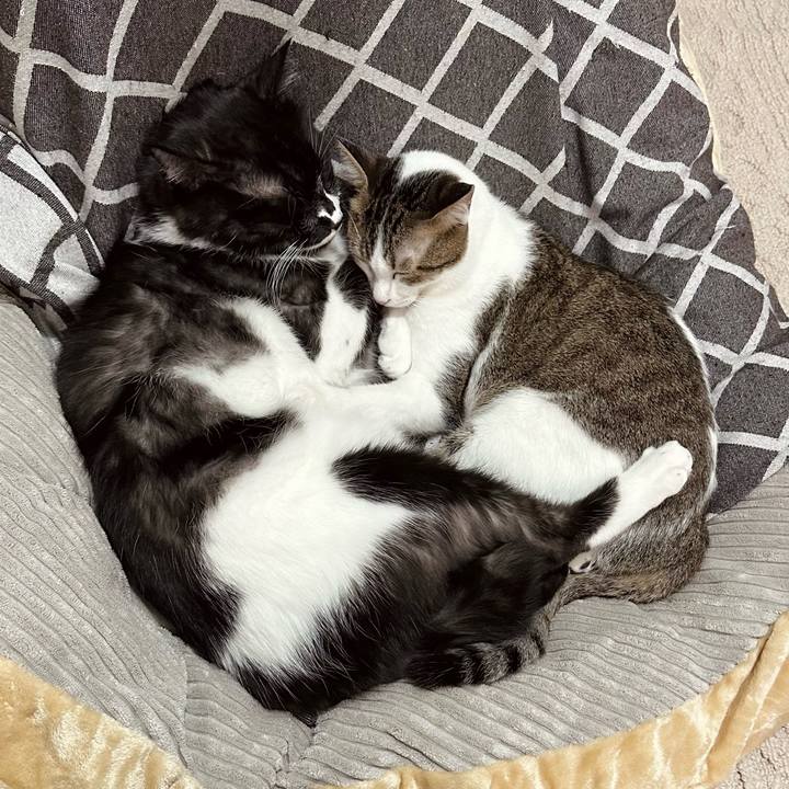 A249d2b3 ce50 436a be5d b471bc9ce77a 1761994191958