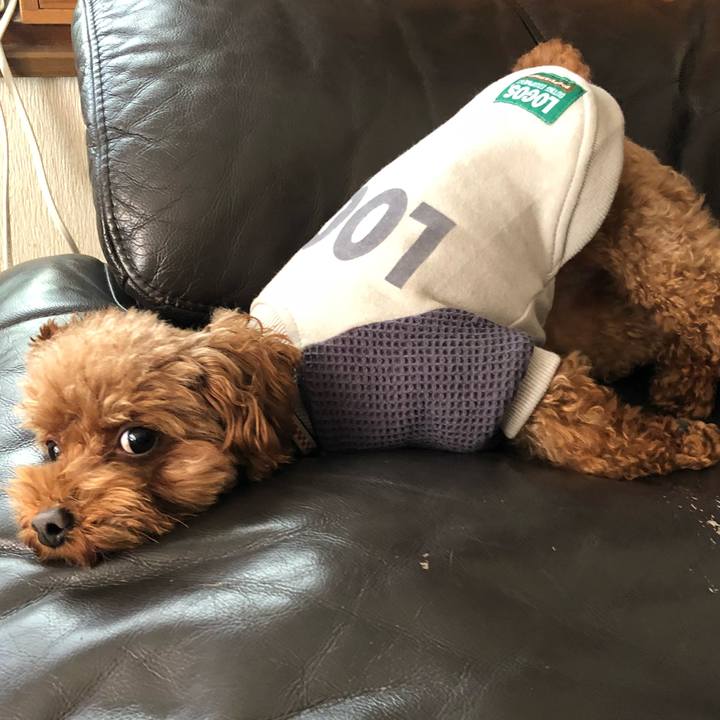 A24a0d12 0d8c 45eb 9d32 0eeec3213722 1546054099879