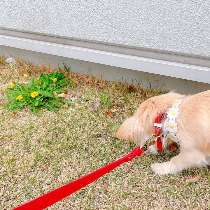 A24a13ec e7c4 4f8d b23b 3dfdcf471d2c 1648967657539