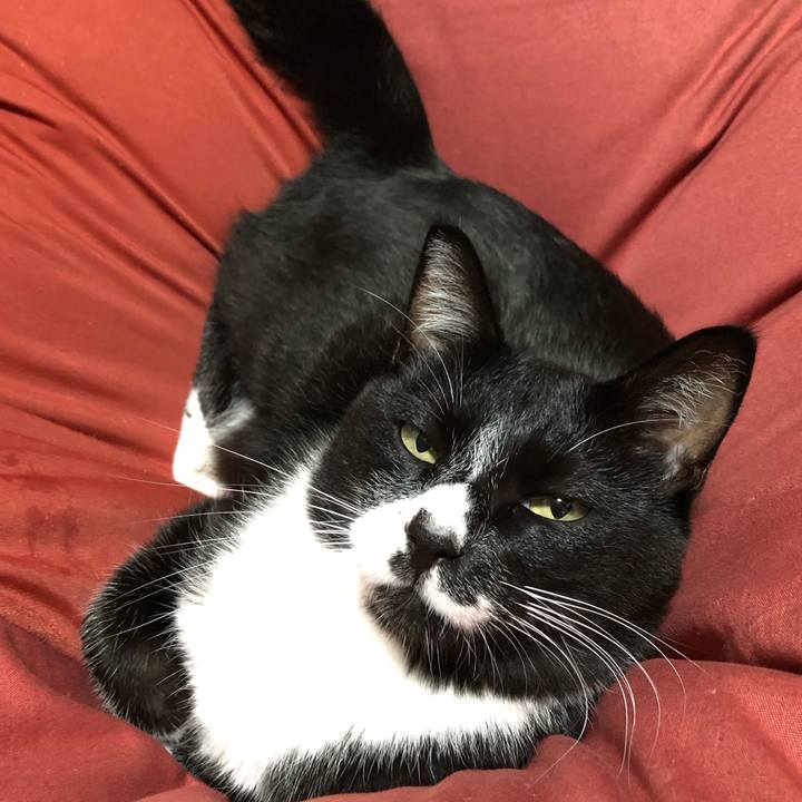 A24aaded 717a 4983 8cc0 866ed15c6109 1634011260999