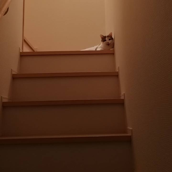 A24ab431 07d6 46a8 a9ad cf38e12d0119 1539175849912