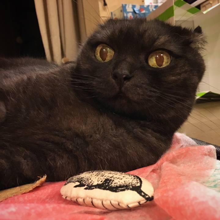 A24acca6 9c51 47d3 8b20 7a6940800df8 1530881028651