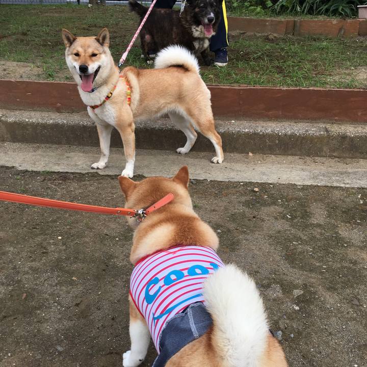 A24ae7e9 ff6e 4883 8cd9 e1c08c60dab1 1564439541375