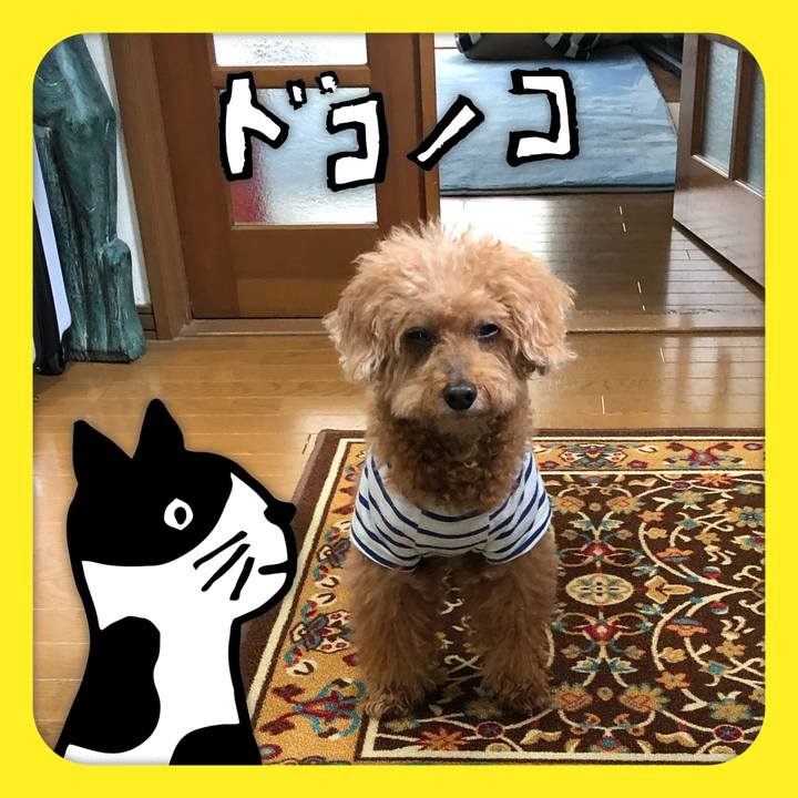 A24af083 95b5 4e3c 841a 412e3967755a 1623207381112