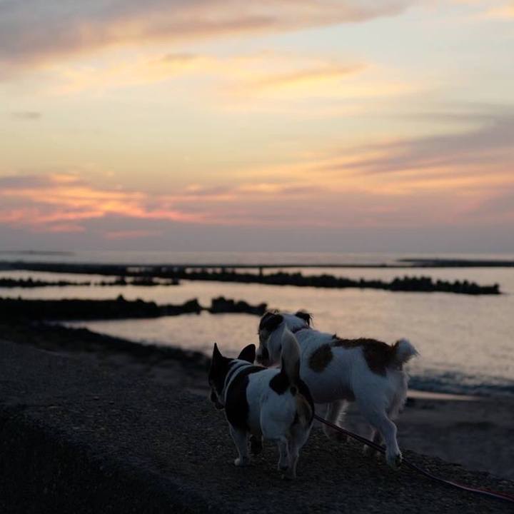 A24b203c f4ae 4e5b 9104 898f07c3fce9 1510114407144