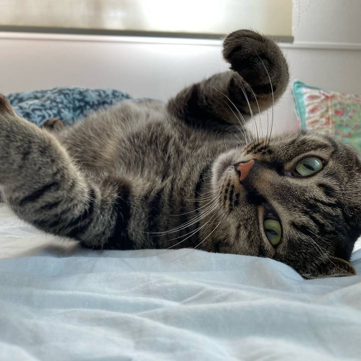 A24b4f3f aafb 4fa9 8ea9 7c899e4ba07d 1621944261804