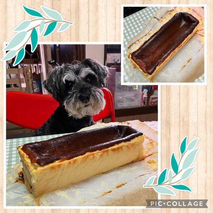 A24bb32d 38b5 40ce a19b 8802c9b6517c 1717500263227