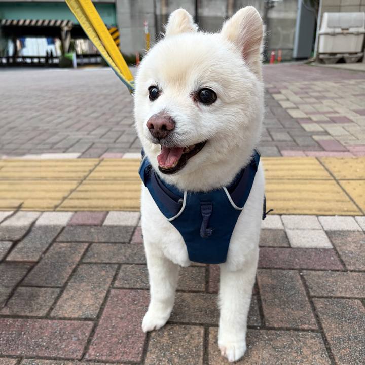 A24bb738 98a7 42a1 9bda 2057edcd79dc 1776688221940