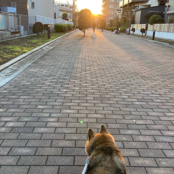 A24bccee 44fe 4559 8f8c 9ef6d77ac1e5 1732261580892