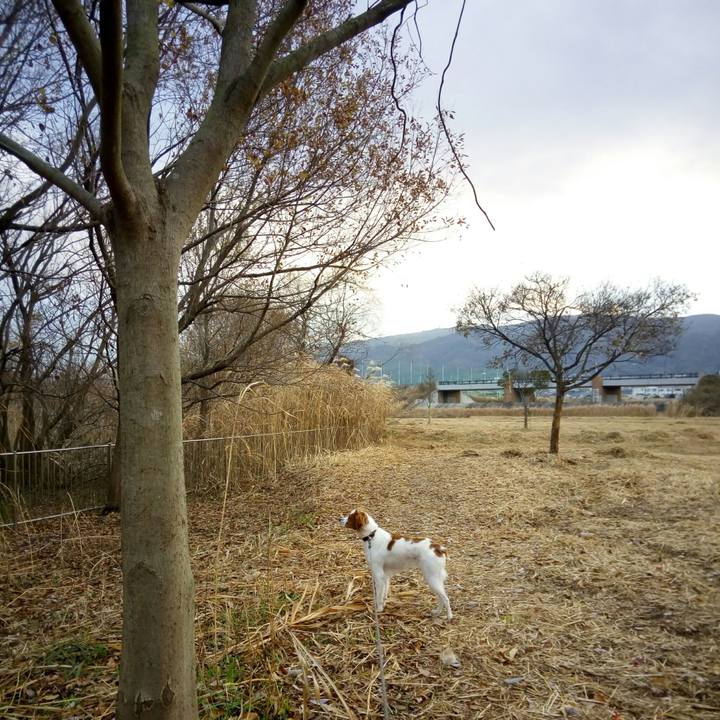 A24bd194 9345 4c18 817e 06b4ffb72f86 1514160199745