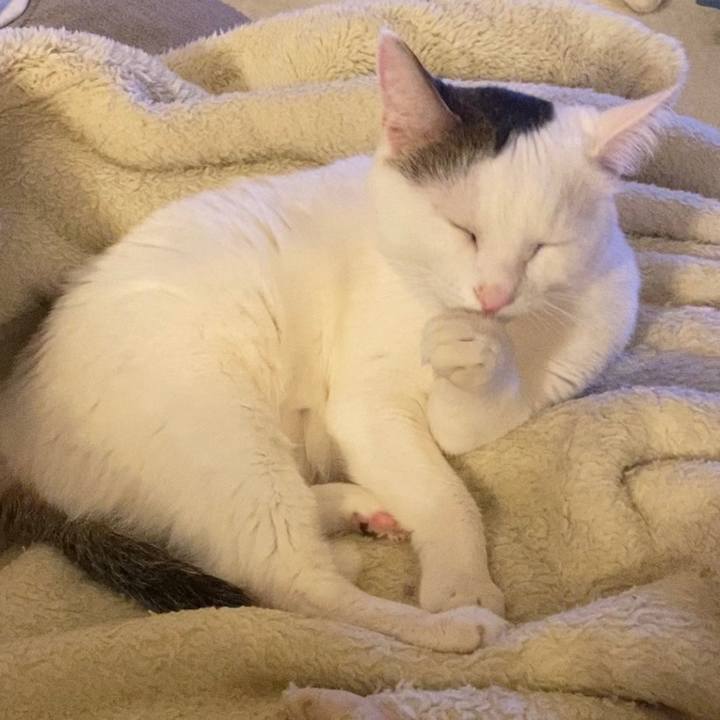 A24bdaed ffab 4451 ac9e f4c9c462eba3 1672788871271