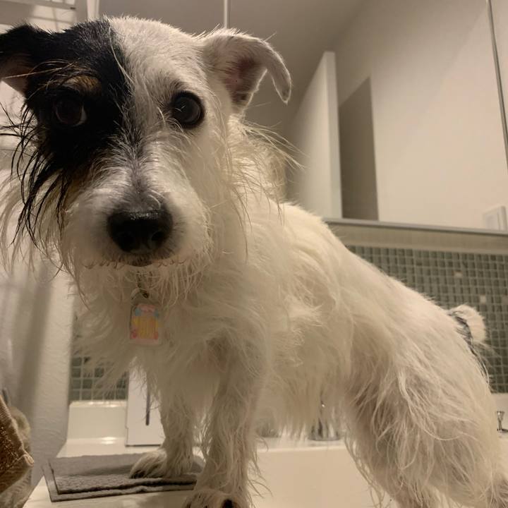 A24c31cc c7ba 4bc7 9488 e95e25ff6cf9 1663936042491