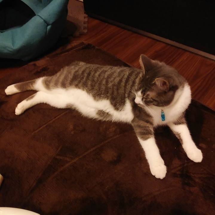 A24cb361 ed89 46d7 81b5 70405959065d 1579878096161