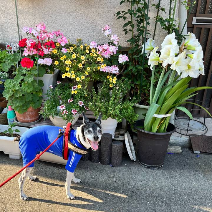 A24cf958 b7b2 40f7 b00c 2590a2e18d1a 1653212113310