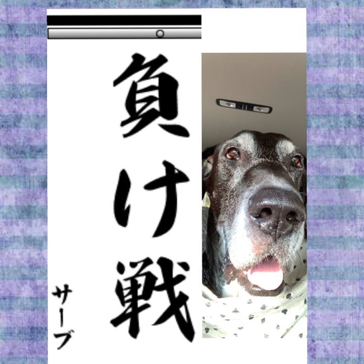 A24d25ff b8aa 4843 b496 af1f196c3a9c 1577861248727