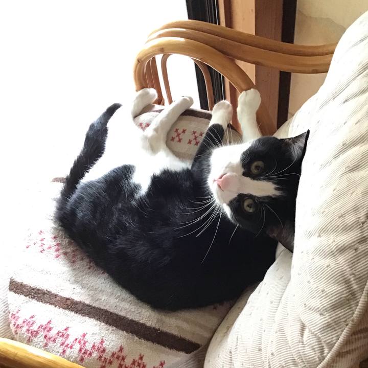 A24d2714 01e5 4327 9b89 afbc4e79da72 1659776291627