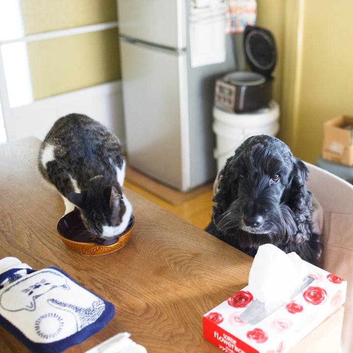 A24d58b7 ce97 4c8d a211 99c32925be0f 1512557113792