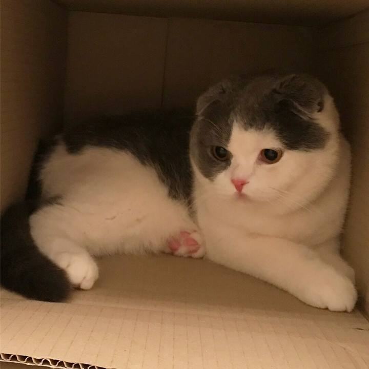 A24d8cbb 4845 451d a35c 740691516b0e 1523745672140