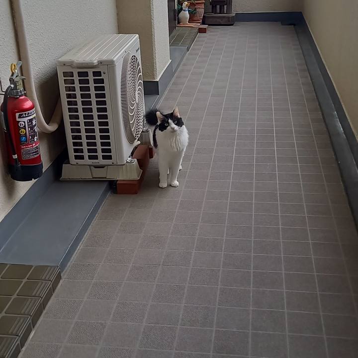 A24d98cf f199 4560 bbf0 7dafd3b65fcb 1680963254871