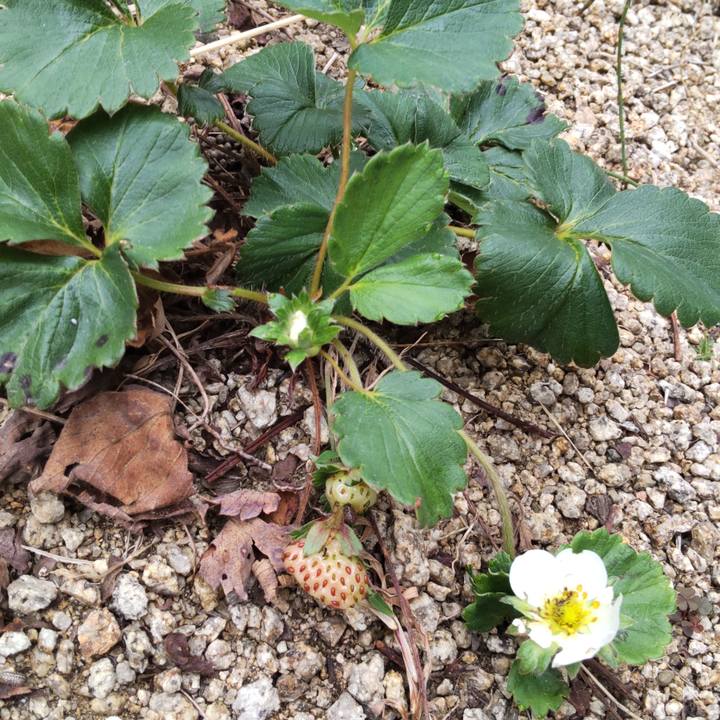 A24de6e6 832f 4bdd a335 ab2de01b7d9f 1699086439043