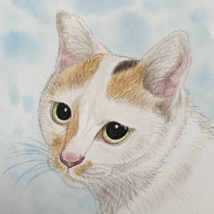 A24de799 059d 4a89 a333 fdd2c52c0cb8 1686374018916