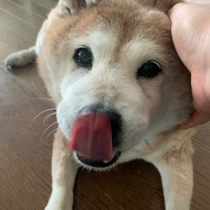 A24dec35 65e2 4736 ba00 3b7e9c329938 1609034674996