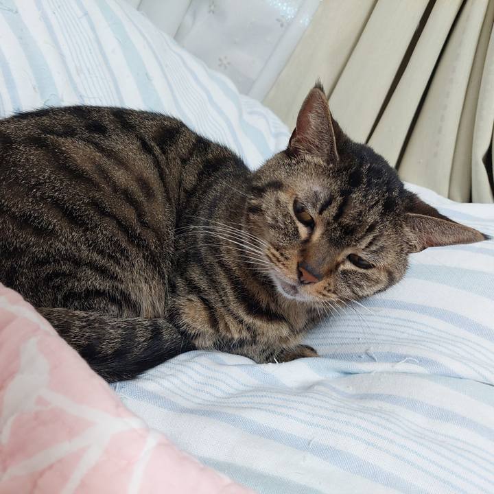 A24e0258 f094 4197 b20c 7d8296763f9f 1627939513513