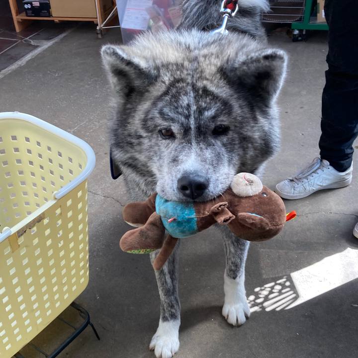 A24e07fb 6744 493c 8dab c64d3e22635a 1684829385863