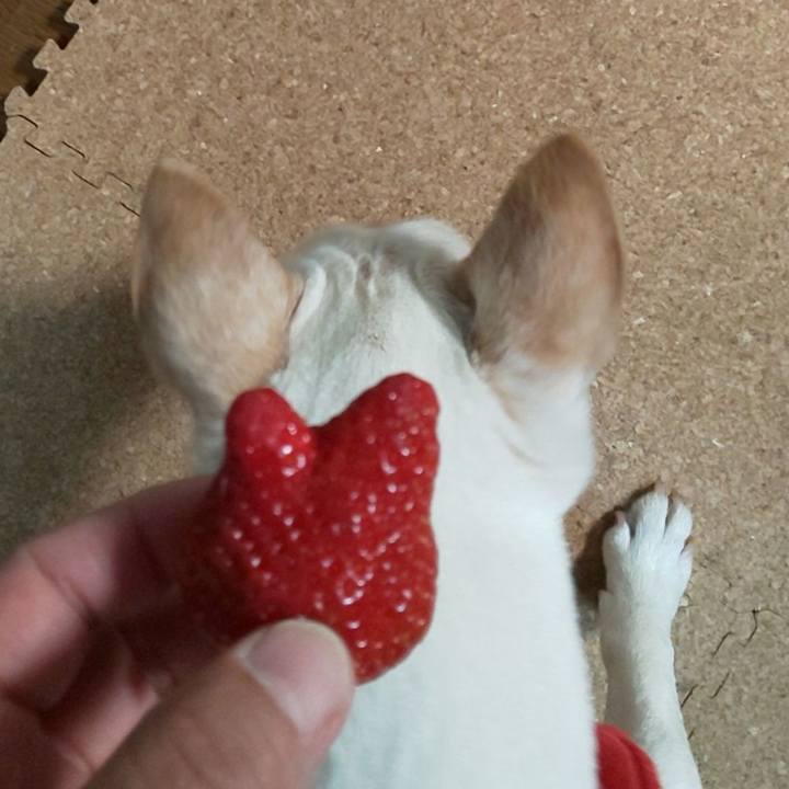 A24e50fc dce3 44b6 ab68 e7b994a5a7a4 1554725063363