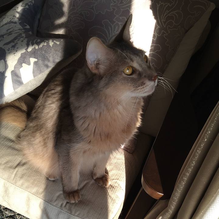 A24e55b5 3bf7 4bee 8e7d e25325aaf09b 1600744195955