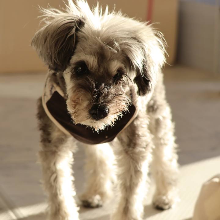 A24e6603 bb26 4bb7 b7cb 6f4e2ba19fd6 1768383733061