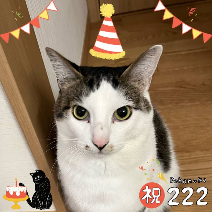 A24e7e7a 65a9 4bc8 9428 c60708f52731 1645538691865