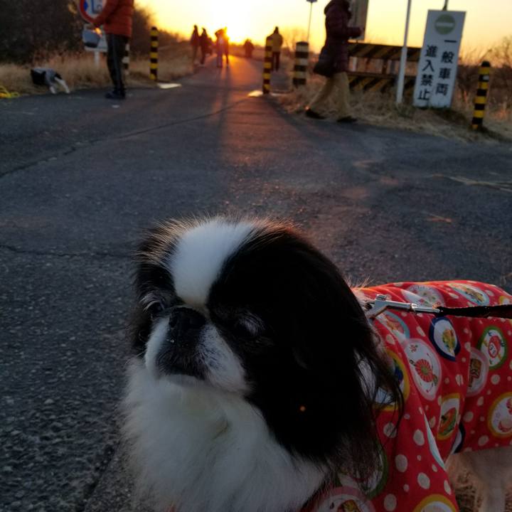 A24e8358 5154 417b 8c71 ca1ecd1f9683 1514764285945