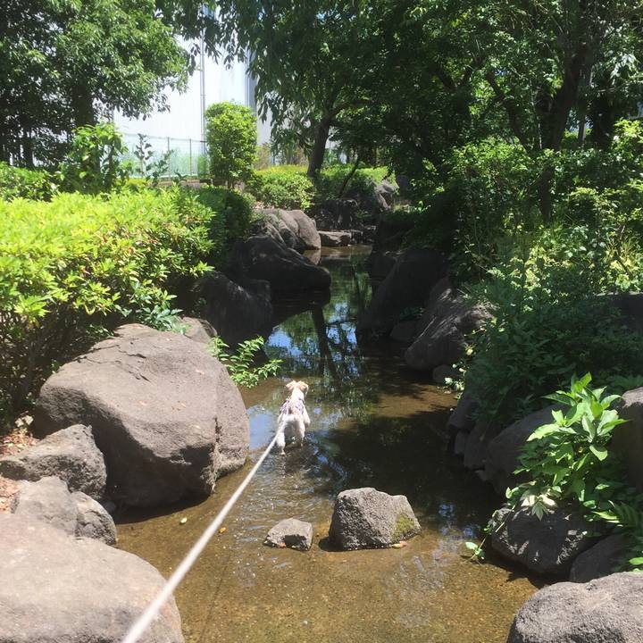 A24ed363 bcd9 40e8 9cac d0526bbd9880 1558753771504