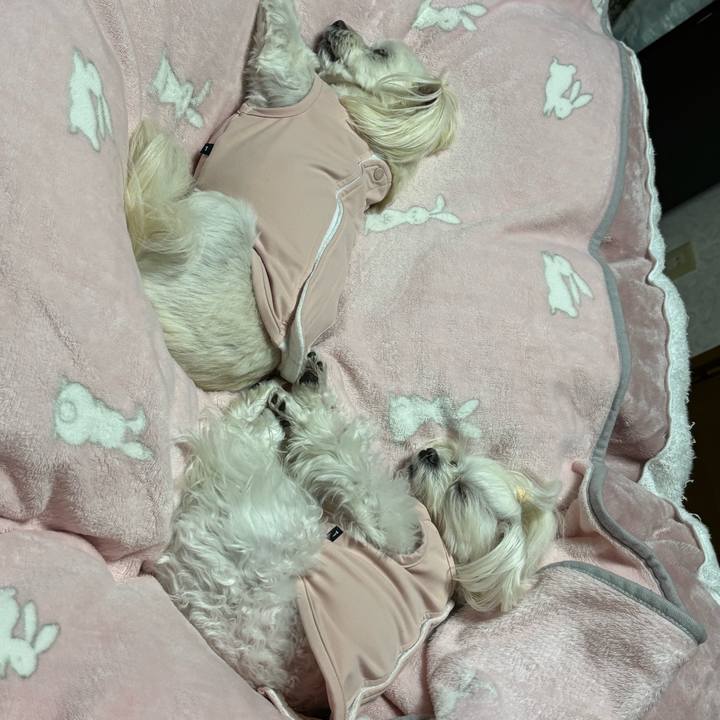 A24eecf7 ffd4 49e2 bd3b 774a95c6909b 1766144569832