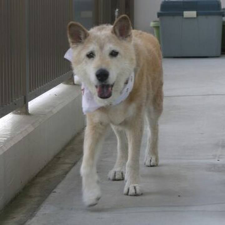 A24f18cc 38d4 4f77 a058 3d878e2c91f9 1564120607363