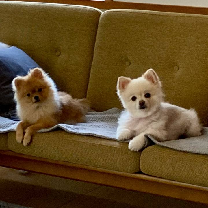 A24f2102 2fe7 4ffe a58e edfd87e0611b 1661932924536