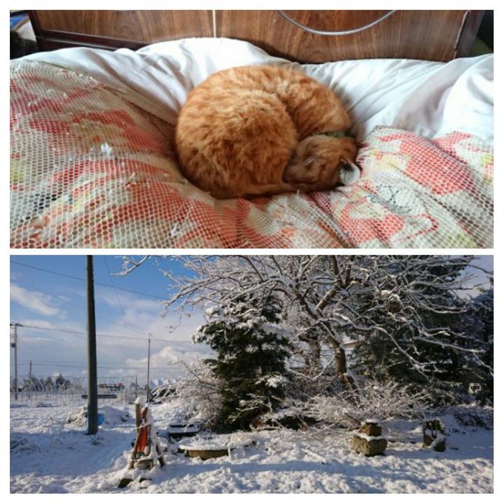 A24f8b14 b34d 43a4 8e0d 4d2b56dc6bfb 1585001052784