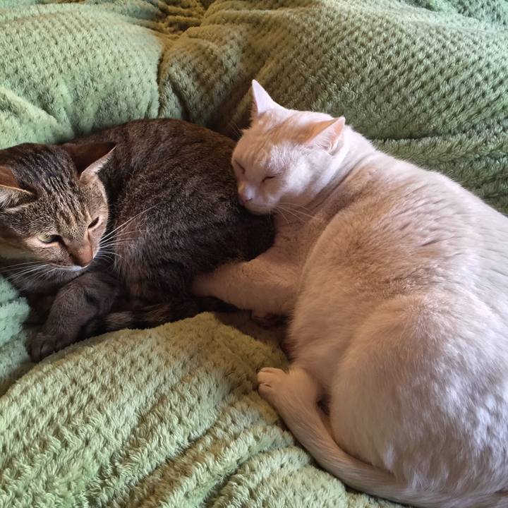 A24fbcb6 a503 48de b453 841ed73e3253 1516313581790