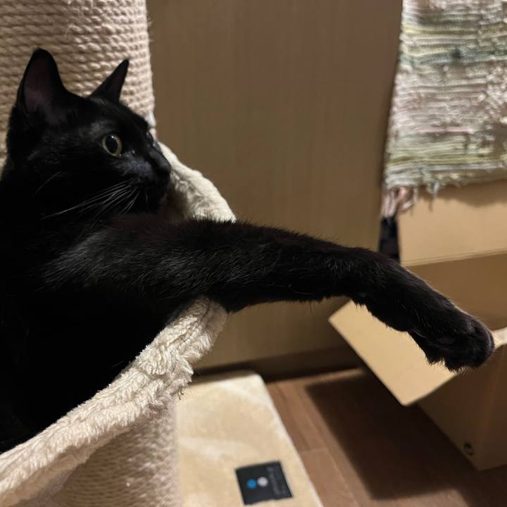 A24fbf2b 5810 454c b363 a0e862da8468 1722508429679