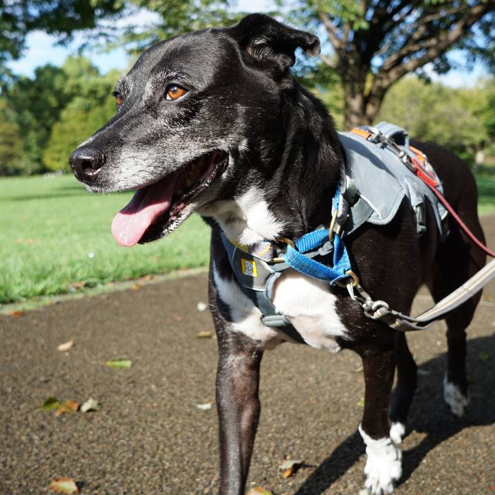 A24fda5a 84f2 4866 a762 56fec600b9fd 1758412752687