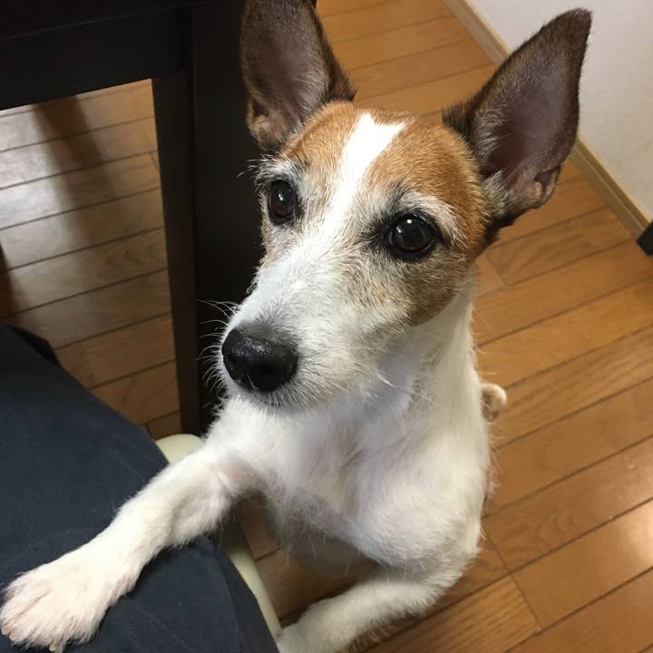 A250026f 37e6 4b3a 98f8 0e8b8c4aea52 1596582788721