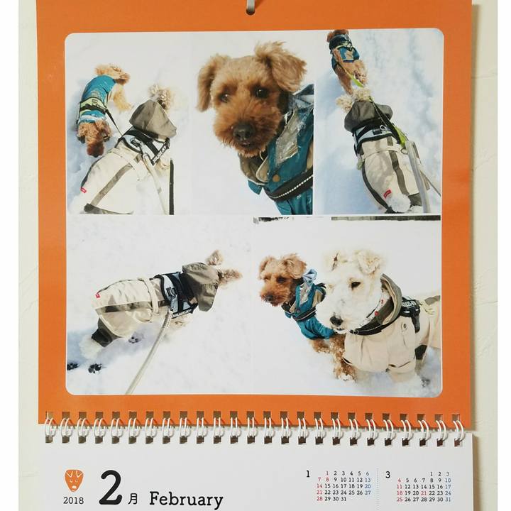 A2501448 d53b 415b 8e1f cc4d6c93c73f 1517451995231