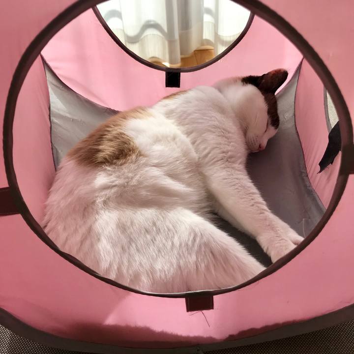 A25047d7 8217 4253 aff6 7af4b829b2d7 1545721161140